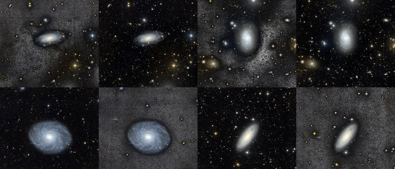 Milky Way-like galaxies from the BEARD project