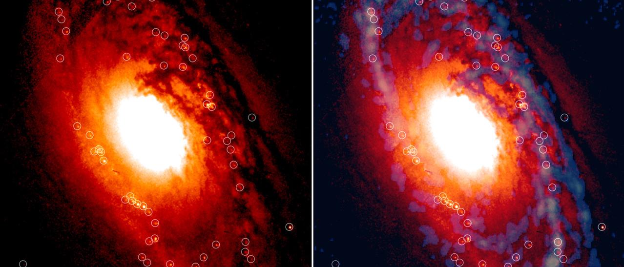 Region central de la galaxia anciana NGC 1386 donde donde miles de estrellas se están formando en cúmulos estelares