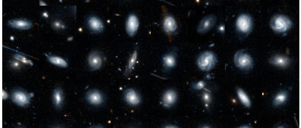 Selection of galaxy images taken by Euclid