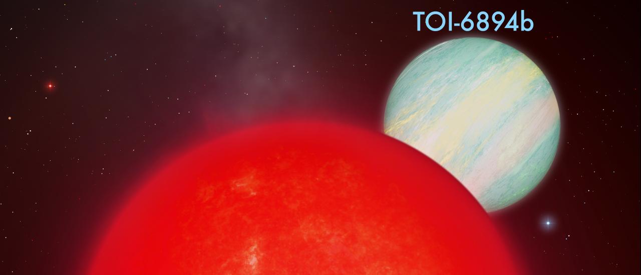 Imagen del sistema TOI-6894 / IAC