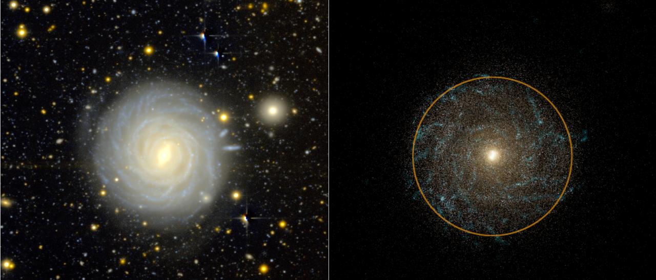 Comparison between an observed galaxy (right) and a simulated galaxy (left) showing similarities in mass and size.