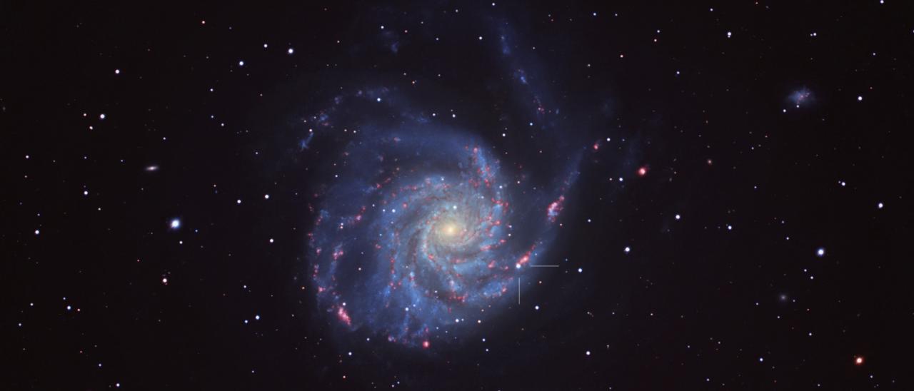 Image of galaxy M101 with supernova SN 2023ixf.