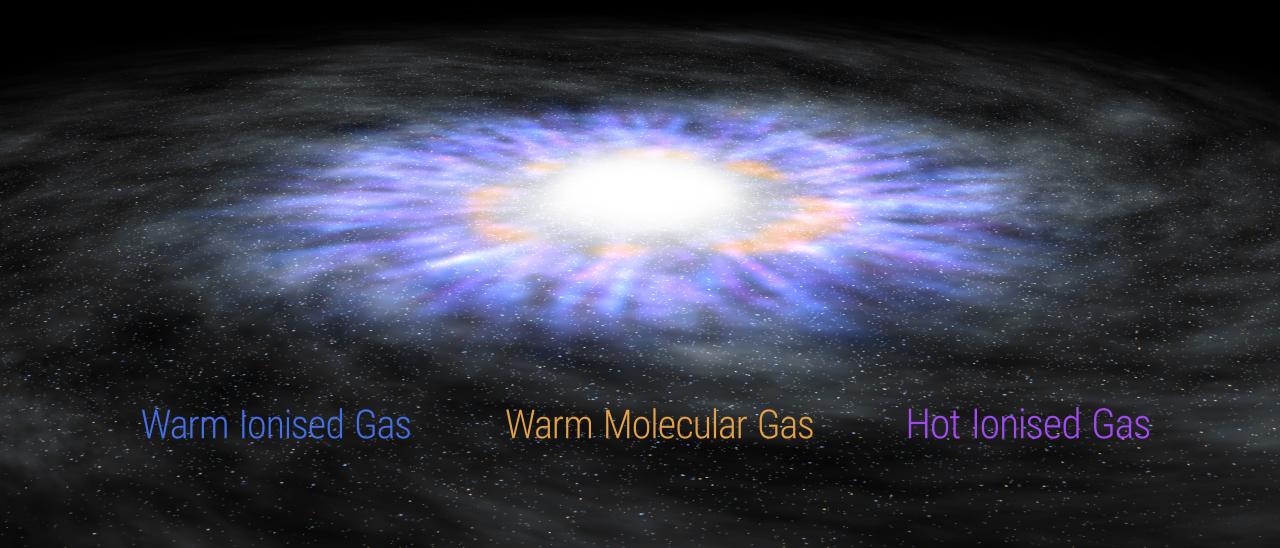 Artistic illustration showing warm and hot ionised winds and the warm molecular gas rotating within a galaxy hosting an AGN. Credit: Gabriel Pérez Díaz (IAC).  