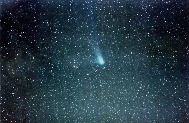 Q4 Neat Comet