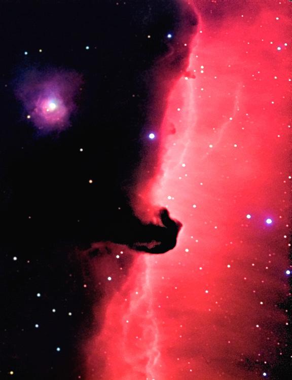 Nebulosa Cabeza de Caballo