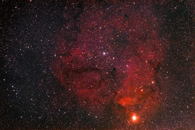 IC 1396 y la nebulosa Trompa de Elefante