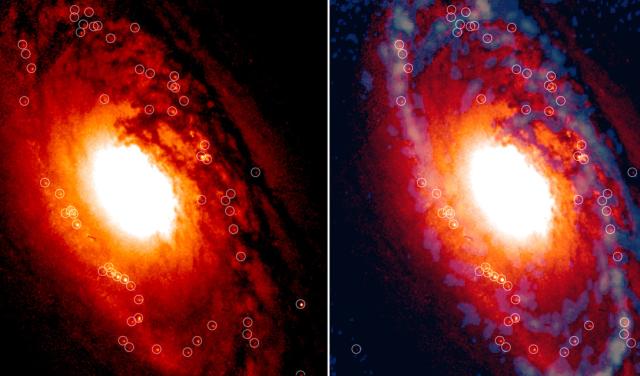 Region central de la galaxia anciana NGC 1386 donde donde miles de estrellas se están formando en cúmulos estelares