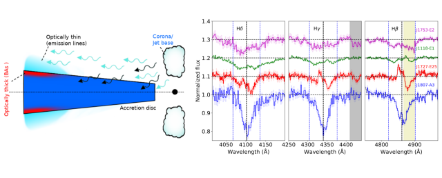 low_mass_xray_binaries