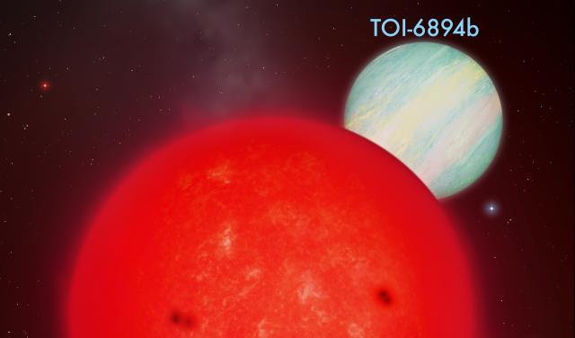 Imagen del sistema TOI-6894 / IAC