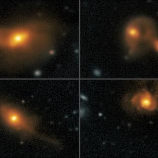 Quasars interacting with other galaxies