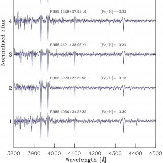 Spectra of the C-19 member stars observed with OSIRIS, normalized using a running mean filter after removing the velocity signal in the rest frame (black lines), together with the best fit (blue lines) derived by adopting a fitting procedure. The metallicity, [Fe/H], computed from [M/H] and [Ca/H] is also indicated for each star.