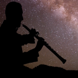 Presentation of the video recorded by the Tenerife Symphony at the Grantecan. Credit: Cabildo de La Palma