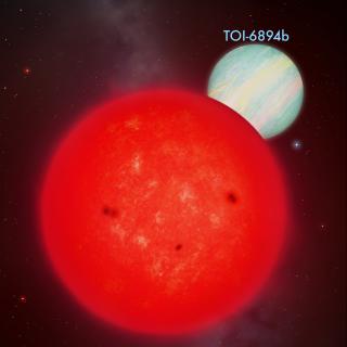 Imagen del sistema TOI-6894 / IAC Imagen del sistema TOI-6894 / IAC