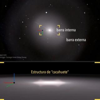 Galactic composition of NGC 1291 in which its "peanut" structure is shown. Credit:  Gabriel Pérez Díaz, SMM (IAC). 