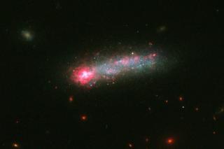 KISO 5639 tadpole galaxy. Credit: NASA, ESA, and D. Elmegreen (Vassar College), B. Elmegreen (IBM’s Thomas J. Watson Research Center), J. Almeida, C. Munoz-Tunon, and M. Filho (Instituto de Astrofisica de Canarias), J. Mendez-Abreu (University of St. Andr KISO 5639 tadpole galaxy. Credit: NASA, ESA, and D. Elmegreen (Vassar College), B. Elmegreen (IBM’s Thomas J. Watson Research Center), J. Almeida, C. Munoz-Tunon, and M. Filho (Instituto de Astrofisica de Canarias), J. Mendez-Abreu (University of St. Andr