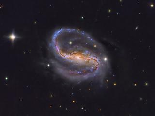 Galaxia espiral barrada NGC 7479 situada en la constelación de Pegaso, a unos 105 millones de años luz. Fue descubierta en 1784 por el astrónomo alemán William Herschel y destaca ampliamente su barra central. Crédito: Daniel López/IAC. 8533