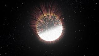 Figure caption: Simulation of the magnetic field distribution (represented by lines whose lengths are proportional to the field strength) in a “cool” white dwarf. The darker zone is a cooler region where the intense magnetic field has partially blocked th Figure caption: Simulation of the magnetic field distribution (represented by lines whose lengths are proportional to the field strength) in a “cool” white dwarf. The darker zone is a cooler region where the intense magnetic field has partially blocked th