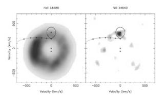 Mapa de velocidades en Helio (He) y Nitrógeno (N). Mientras que el He no revela nada, el análisis de la emisión en N es el que ha hecho posible la detección de la estrella compañera de X1822-371 7739