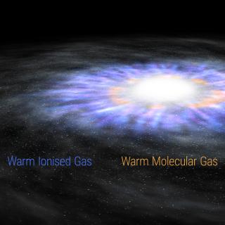 Artistic illustration showing warm and hot ionised winds and the warm molecular gas rotating within a galaxy hosting an AGN. Credit: Gabriel Pérez Díaz (IAC).  
